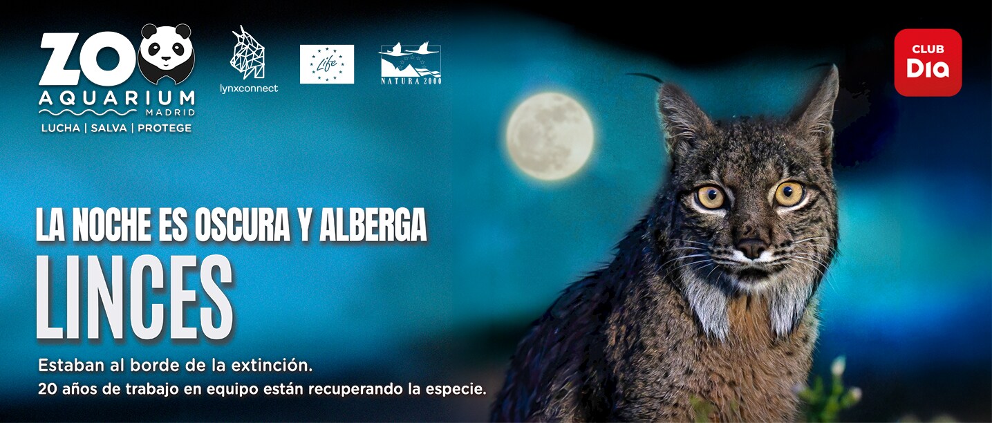 Ventajas Zoo de Madrid